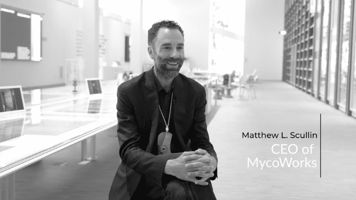 openmemories.promemoriagroup.com